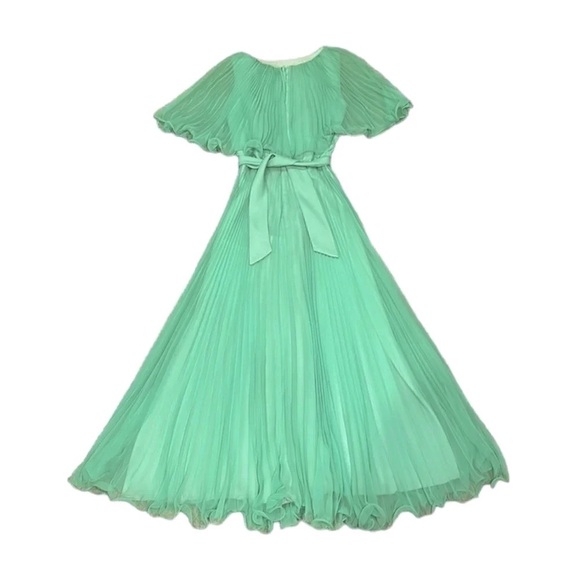 Vintage 70s Spring Green Pleated Chiffon Maxi Dress - Picture 5 of 8